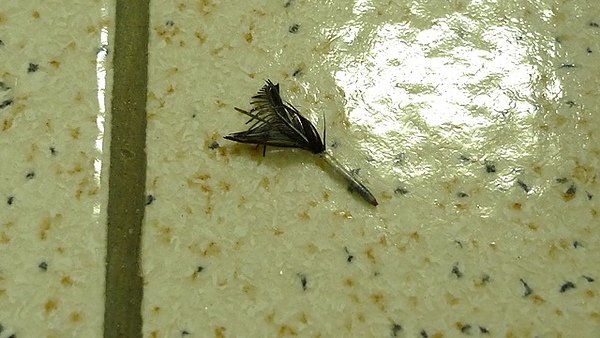 20100929-10.JPG