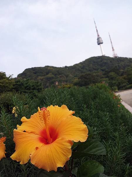 20121005_160837
