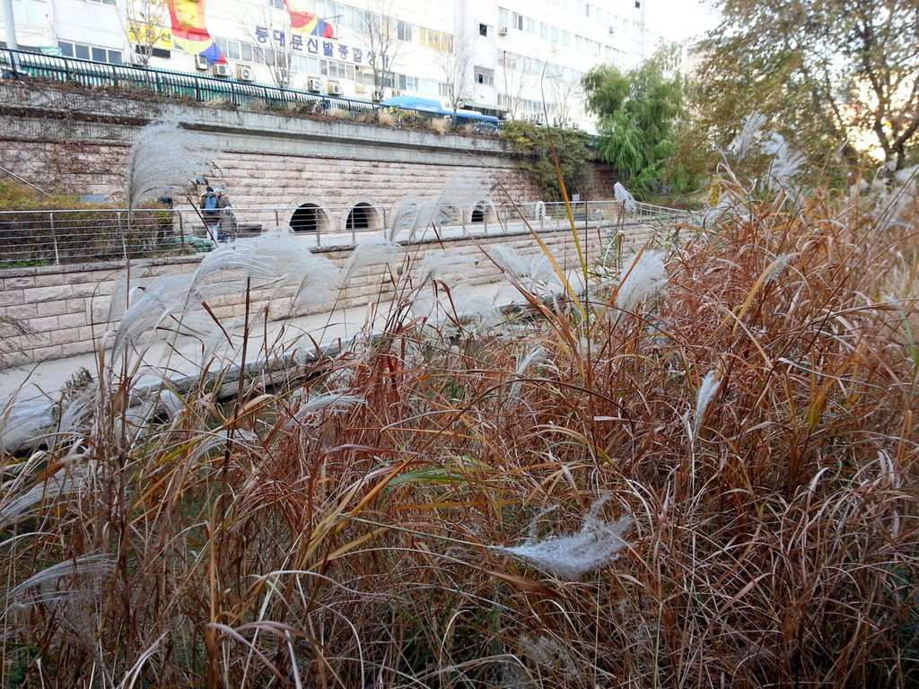 20141115_161128.jpg
