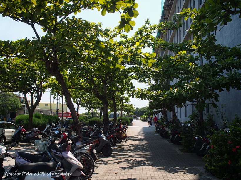 【高雄|旗津】旗津風車公園搭公車輕鬆去，2019又見旗津~