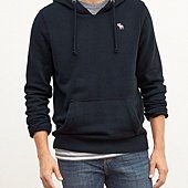 Iconic Hoodie 122-231-0378-023 Navy-1.jpg