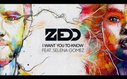 SG ZEDD