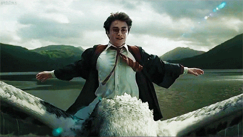 giphy (3).gif