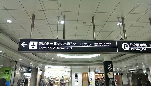 IMAG9613