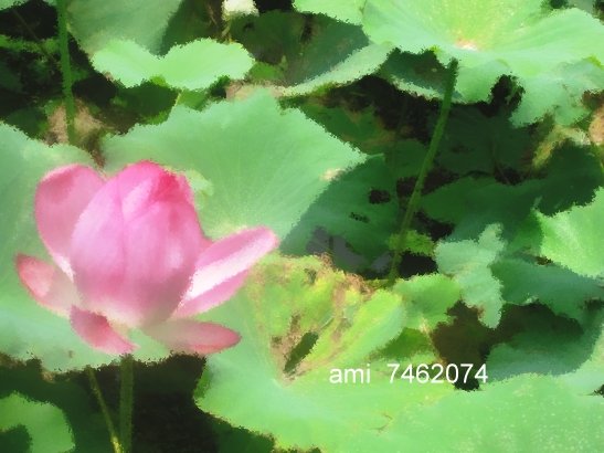 IMG_0003夢裡.jpg
