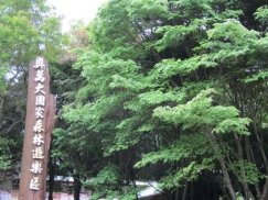 IMG_3298傲晚大3