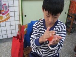 IMG_6946兔子5.jpg