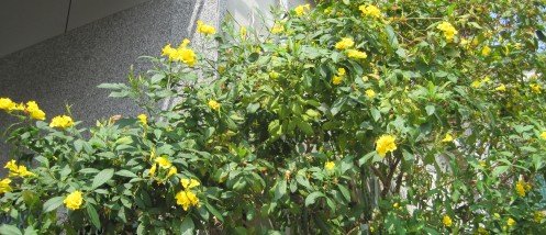 未命名 - 6彩虹2.jpg