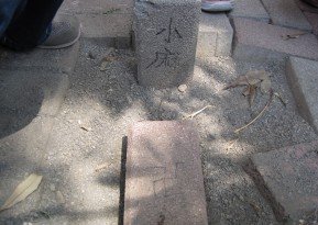 未命名 - 1小麻的魂1.jpg