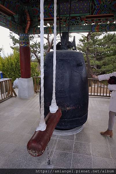S__18333767.jpg