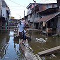 [4/25 Iquitos]boat trip