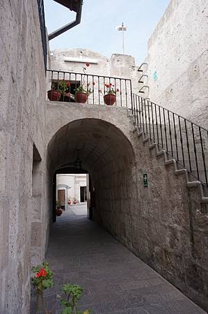 DSC04305.JPG