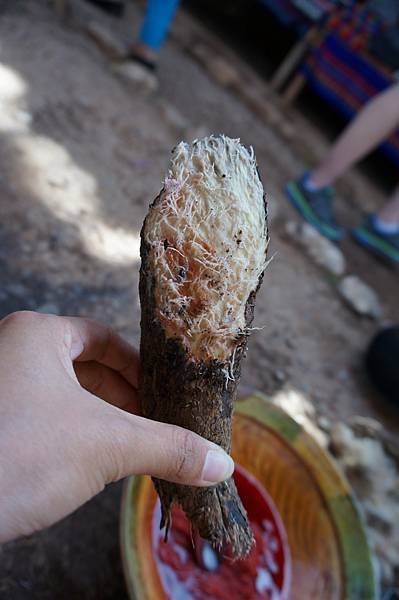 DSC06068.JPG