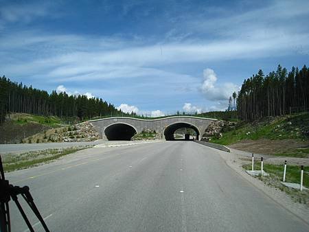 IMG_2817
