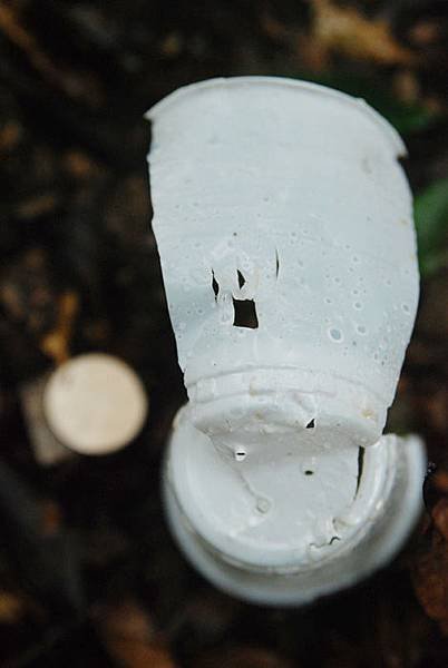 DSC_8956.jpg