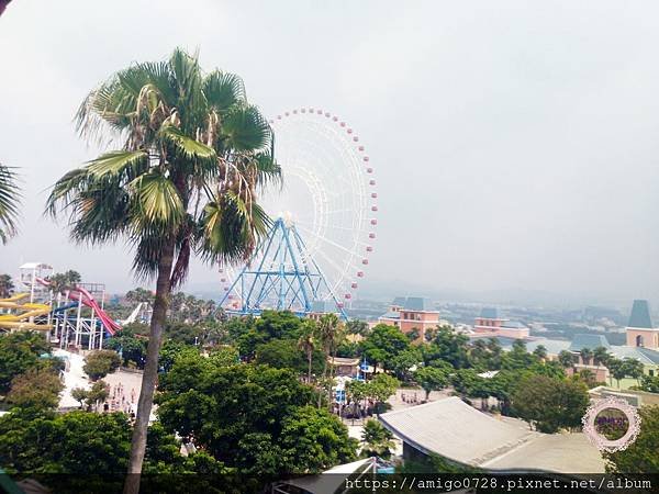 P_20190804_132628.jpg