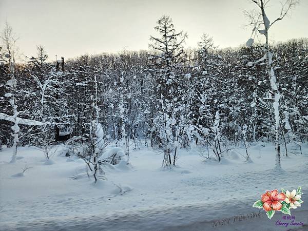 20230110_144555.jpg
