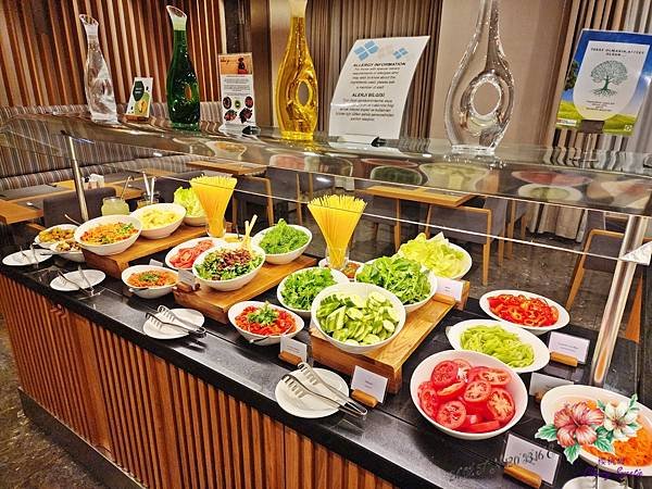 星月之國土耳其-番紅花城@Hilton Garden Inn
