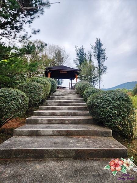 綠莊飛閣渡假會館@佔地萬坪日式庭園造景渡假會館 園區種滿萬棵