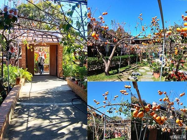 【旅食.新竹】九降風起柿餅香!三合院「金漢柿餅農場」古厝曬柿