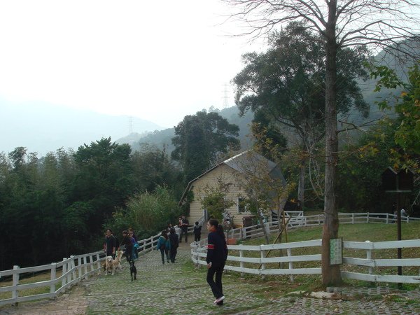 DSC09873.JPG