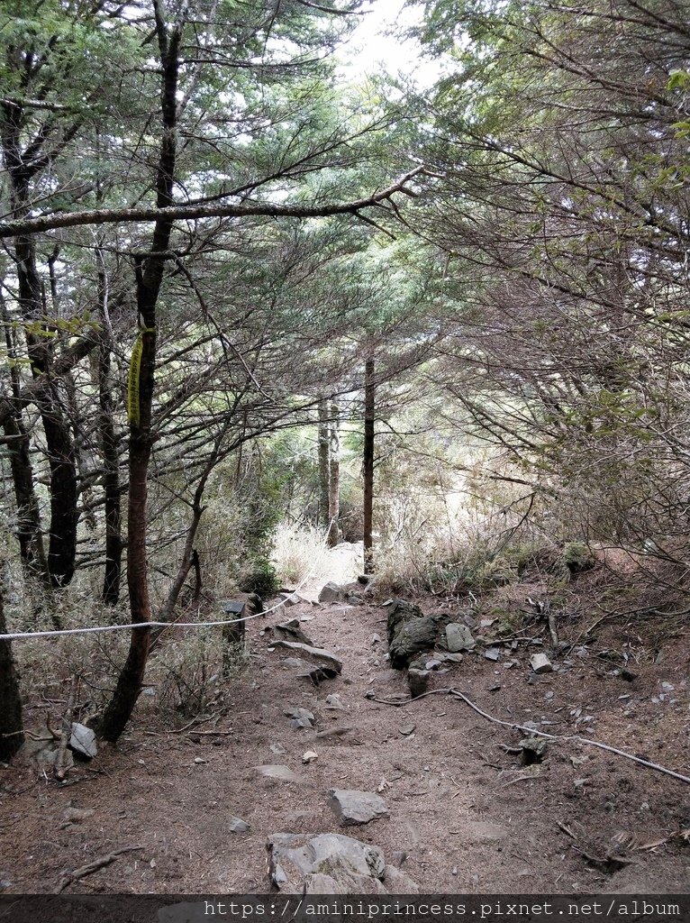 IMG20210418094318.jpg