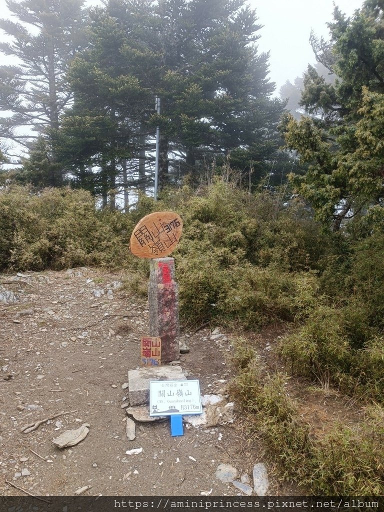 LINE_ALBUM_20220521 關山嶺山_220608_5.jpg