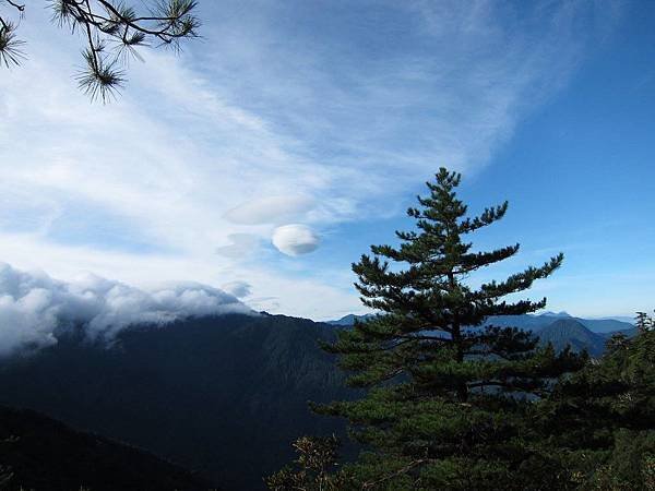 菜鳥阿母的百岳首航...奇萊南峰 南華山