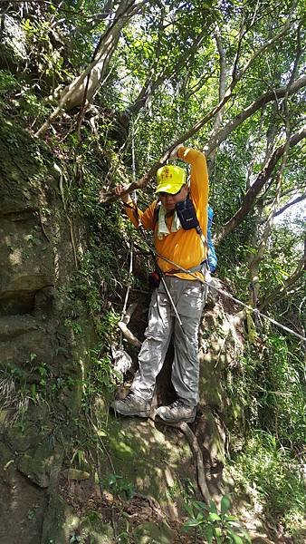 20181028_115215.jpg