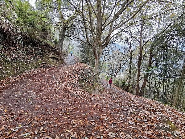 草坪頭 彩虹瀑布 八通關古道 雲龍瀑布 望美山_200130_0060.jpg