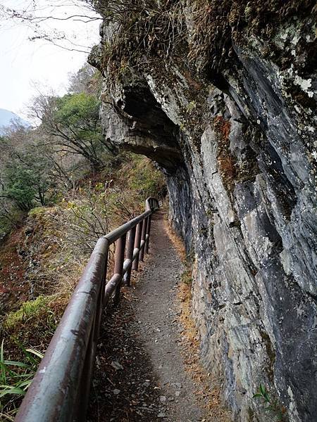 草坪頭 彩虹瀑布 八通關古道 雲龍瀑布 望美山_200130_0052.jpg