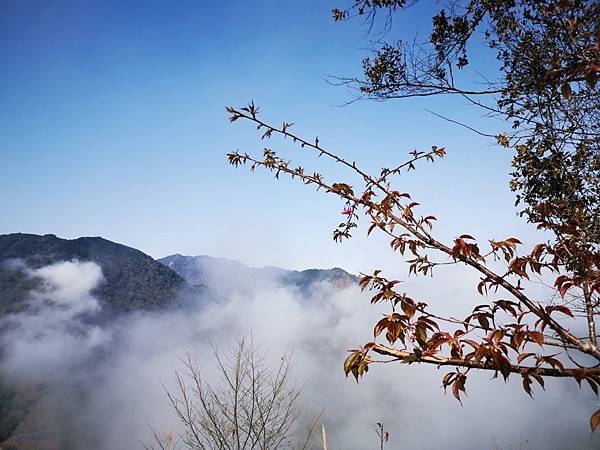 草坪頭 彩虹瀑布 八通關古道 雲龍瀑布 望美山_200130_0010.jpg