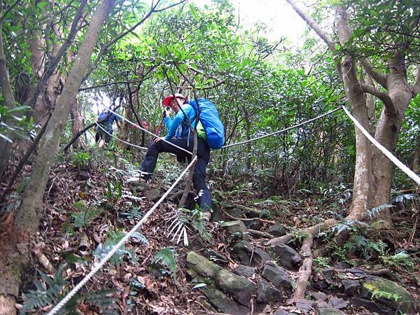 20200411 尖山 尖山登山步_200412_0027.jpg