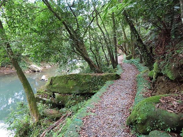 2020614雙溪虎豹潭崩山坑古道後段保成坑古道_200617_0141.jpg