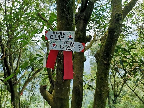 20210822苗栗獅潭鄉_33小百岳 仙山_210825_184.jpg
