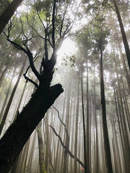 20210904新竹五峰鄉民都有山(面托油山)_210908_68.jpg