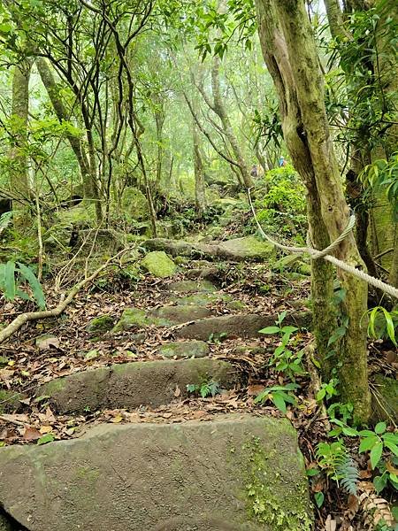 20220430 苗粟泰安鄉 水雲三星之横龍古道、騰龍山、横