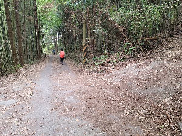 20220430 苗粟泰安鄉 水雲三星之横龍古道、騰龍山、横