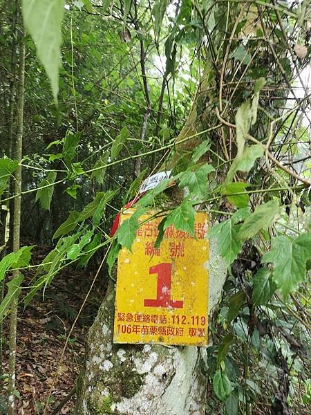20220430 苗粟泰安鄉 水雲三星之横龍古道、騰龍山、横