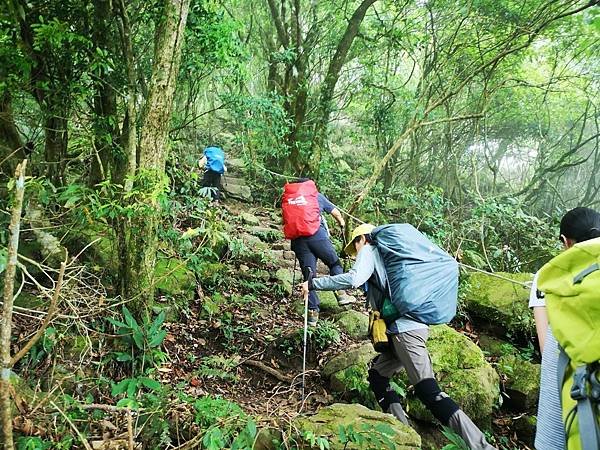 20220430 苗粟泰安鄉 水雲三星之横龍古道、騰龍山、横