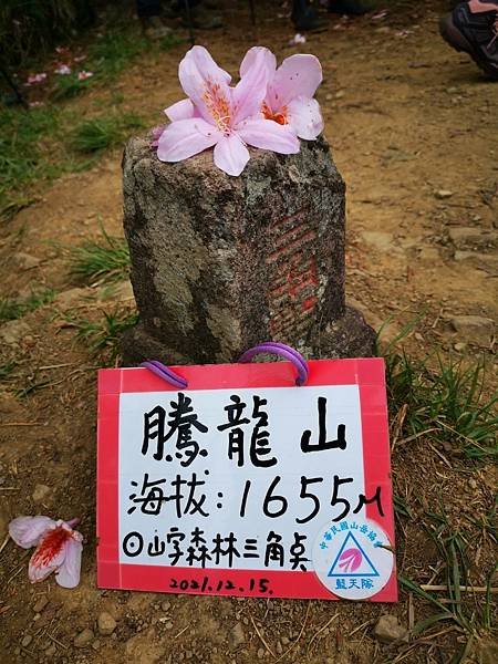 20220430 苗粟泰安鄉 水雲三星之横龍古道、騰龍山、横