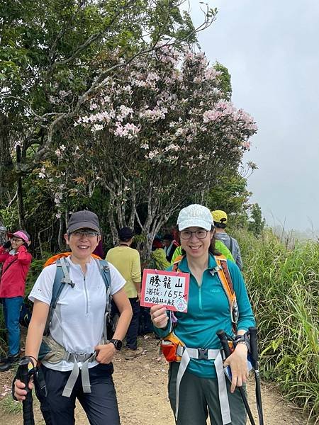 LINE_ALBUM_20220430苗粟泰安鄉 水雲三星之横龍古道、騰龍山、横龍山_220504_168.jpg