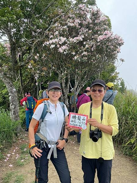 LINE_ALBUM_20220430苗粟泰安鄉 水雲三星之横龍古道、騰龍山、横龍山_220504_169.jpg