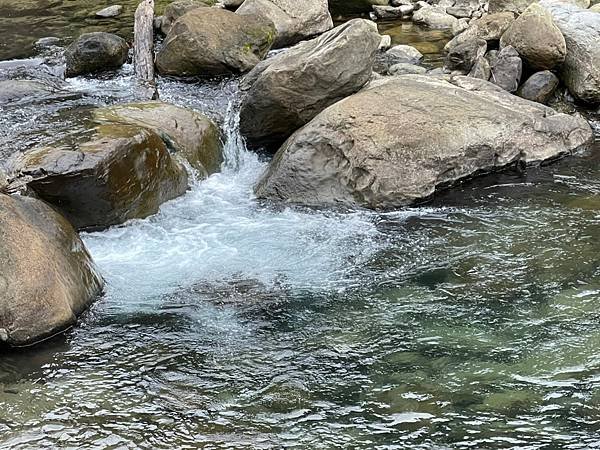 LINE_ALBUM_20220430苗粟泰安鄉 水雲三星之横龍古道、騰龍山、横龍山_220504_501.jpg