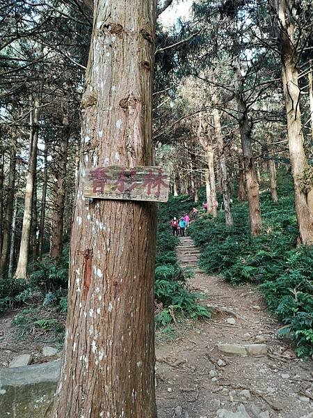 20231230長壽山