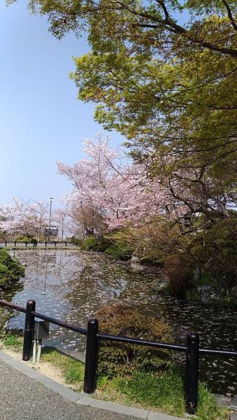 清水寺