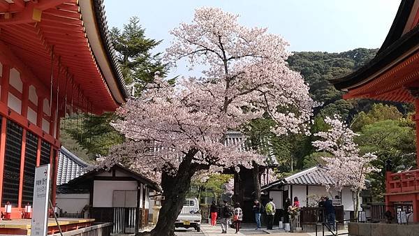 清水寺