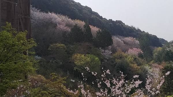 清水寺