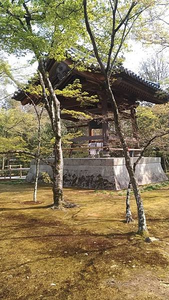 金閣寺