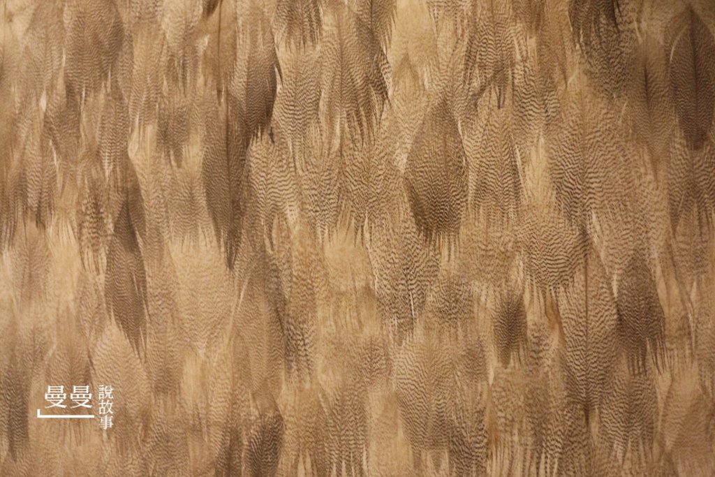 IMG_1730